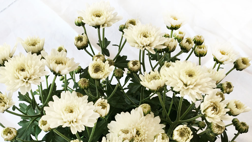 Ladies' Night Tennisclub Warburg 2023